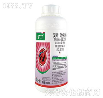 20%衤x--