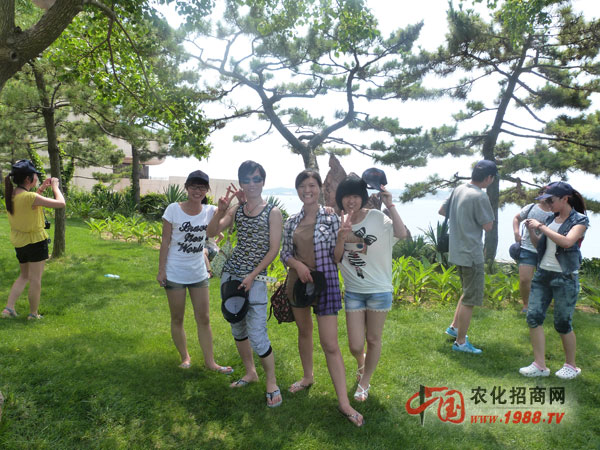 一群充滿(mǎn)青春活力的同伴
