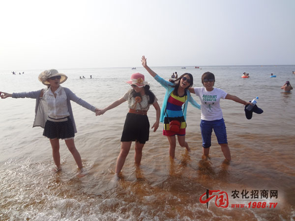 大海!我來了!