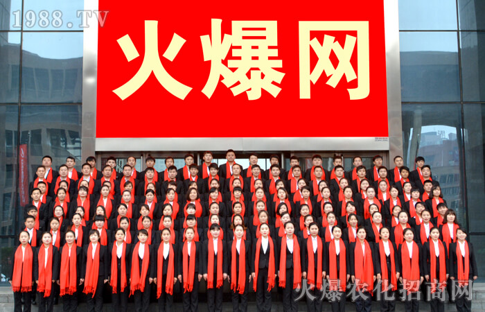 感恩火爆