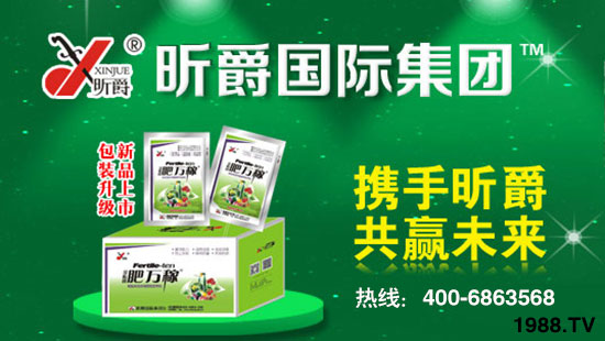 昕爵國際集團