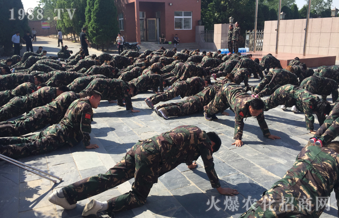 用心、全力以赴,必將有所收獲