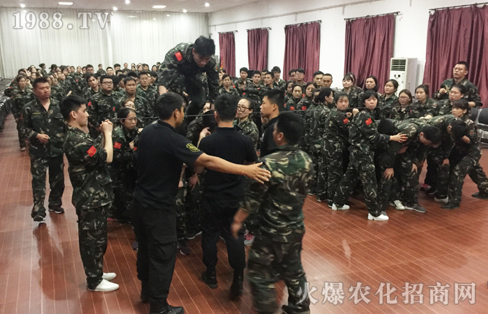 用心、全力以赴,必將有所收獲