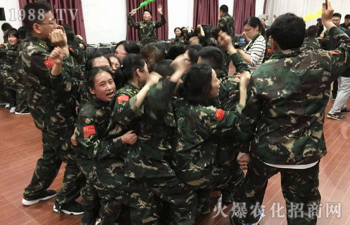 心之所向,素履以往