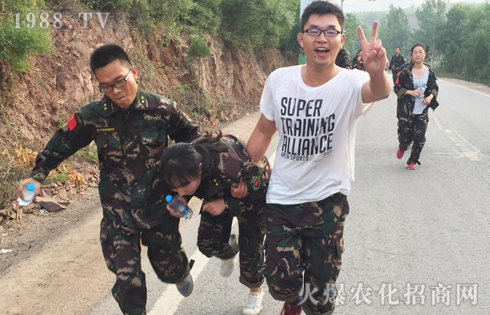 心之所向,素履以往