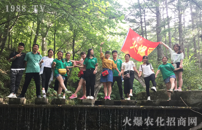 火爆網(wǎng)