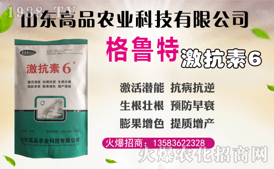 【山東高品】祝全國朋友幸福安康,萬事如意!