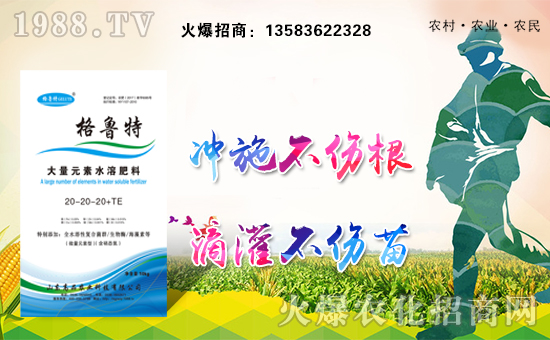 【山東高品】祝全國朋友幸福安康,萬事如意!