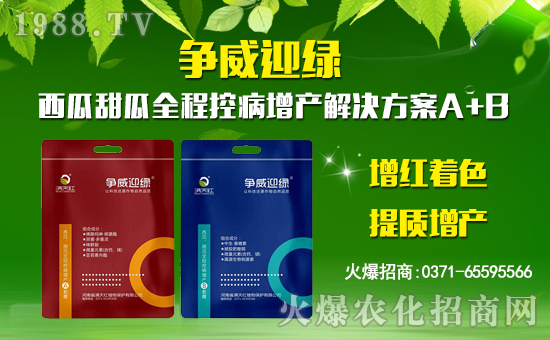 【滿(mǎn)天紅植物】祝大家在新的一年里身體健康,萬(wàn)事如意!