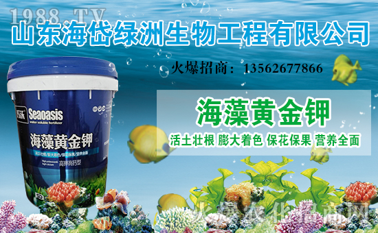 【海岱綠洲】祝您新年快樂,幸福綿綿!