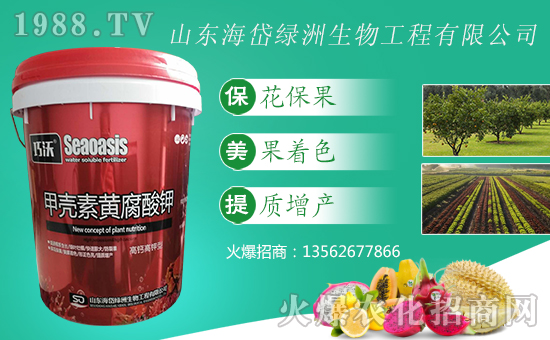 【海岱綠洲】祝您新年快樂,幸福綿綿!
