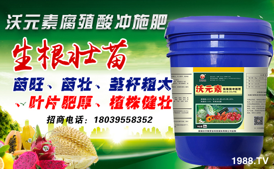 【沃爾頓農(nóng)業(yè)】祝大家在新的一年里新春大吉、萬事如意!