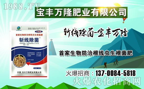 【寶豐萬隆】祝大家在新的一年里幸福美滿,闔家歡樂!