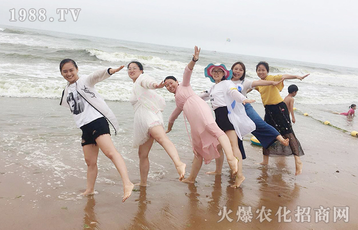 美麗青島之旅,心醉八大關(guān)