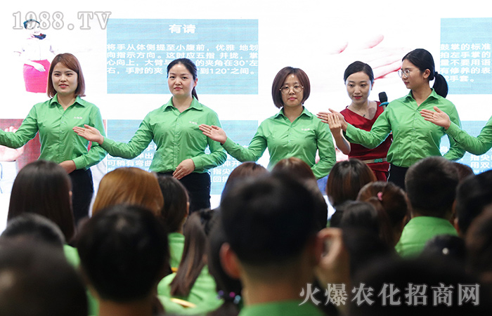 禮儀之美——美在形,更美在心!
