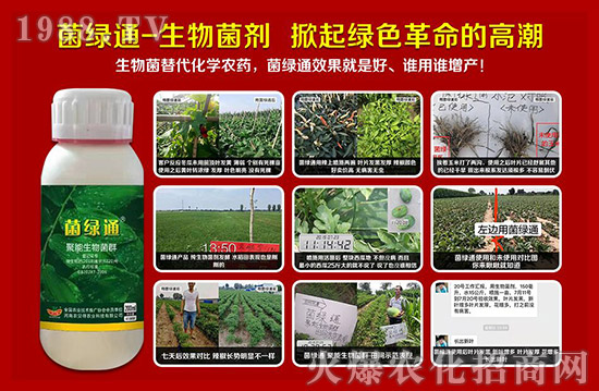 【河南農(nóng)貝得】祝廣大經(jīng)銷商朋友們,新的一年生意紅火、財源廣進(jìn)!