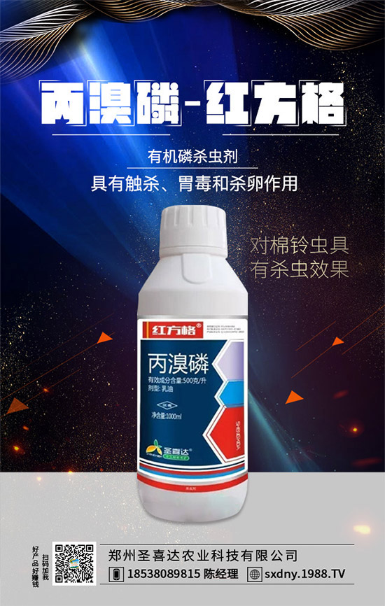 【圣喜達(dá)農(nóng)業(yè)】祝大家2020年天天好運(yùn)到,日日福星照!