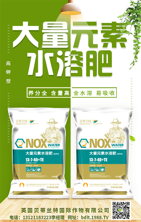 【英國(guó)貝蒂蘭特】祝您歡歡喜喜迎鼠年,萬(wàn)事如意平安年!