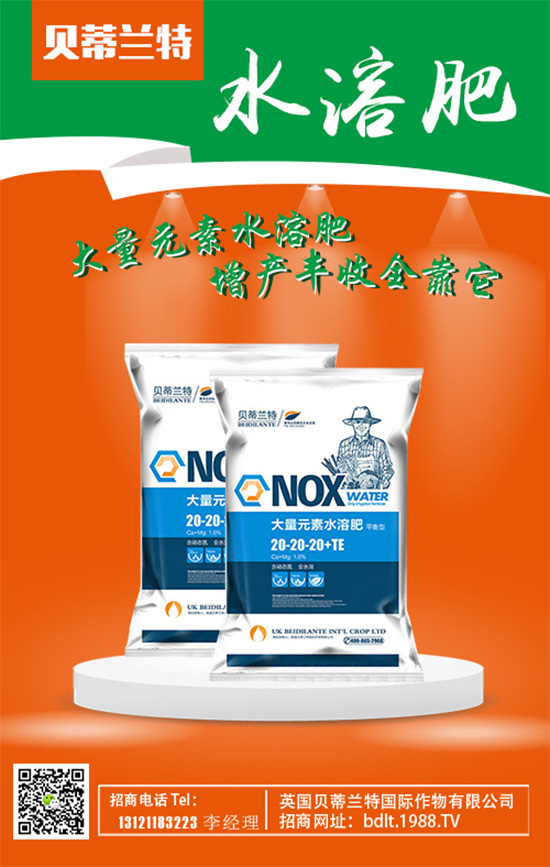 【英國(guó)貝蒂蘭特】祝您歡歡喜喜迎鼠年,萬(wàn)事如意平安年!