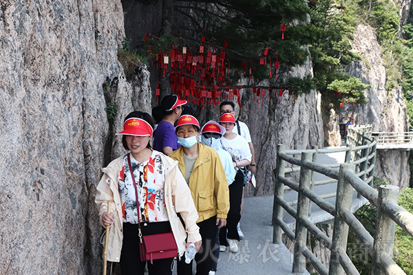以道御術(shù),大道至簡(jiǎn)