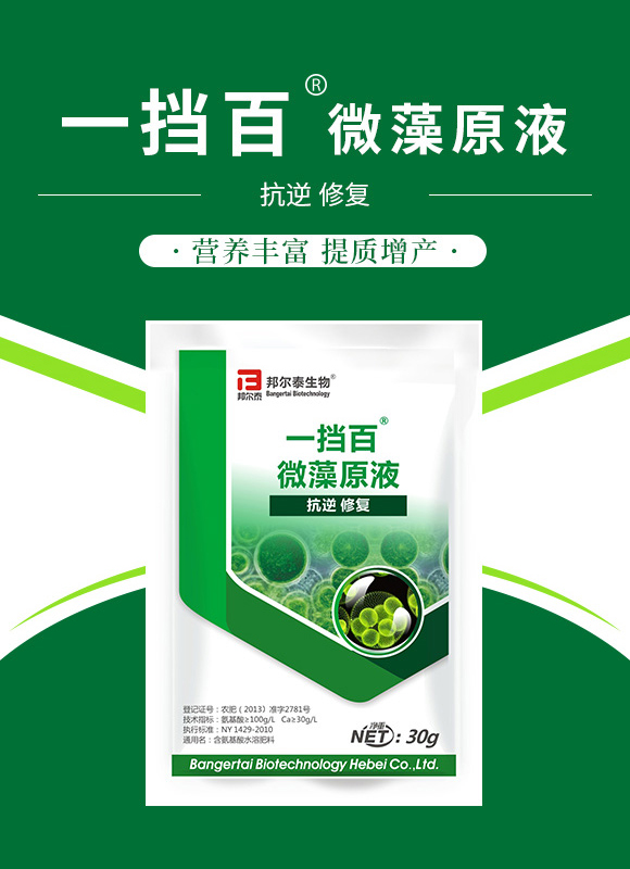 新年快樂(lè)