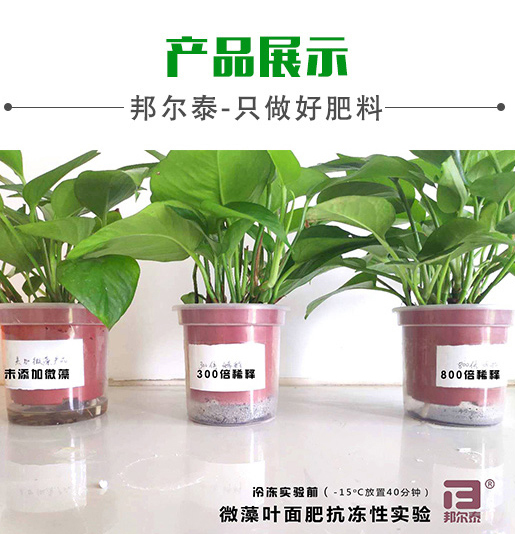 新年快樂(lè)