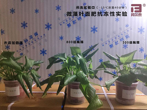 新年快樂(lè)