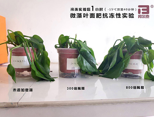 新年快樂(lè)