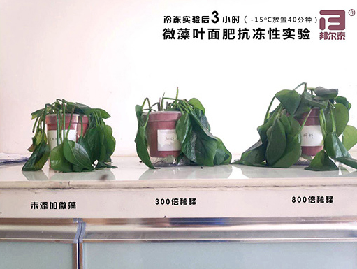 新年快樂(lè)