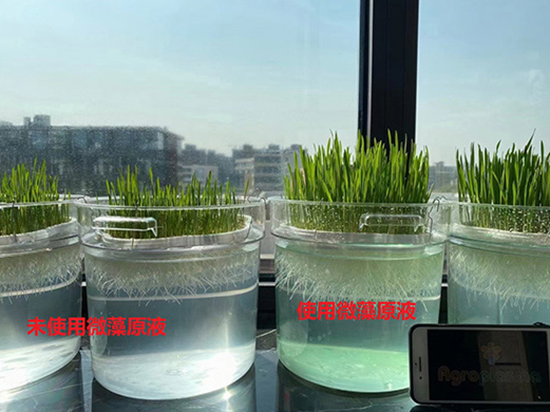 新年快樂(lè)
