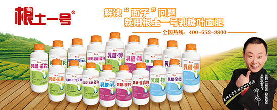 根土一號