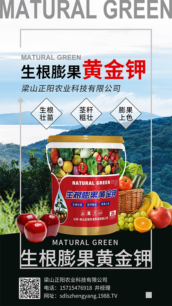 梁山正陽農業(yè)科技有限公司6