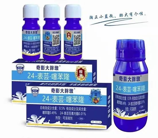 奇膨大胖墩