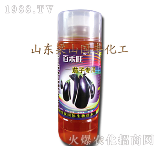 茄子專用葉面肥-梁山國(guó)豐