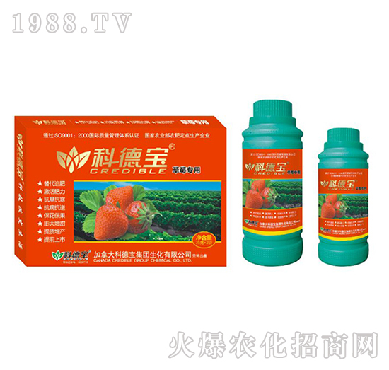 草莓專用營養(yǎng)增產調理劑-科德寶