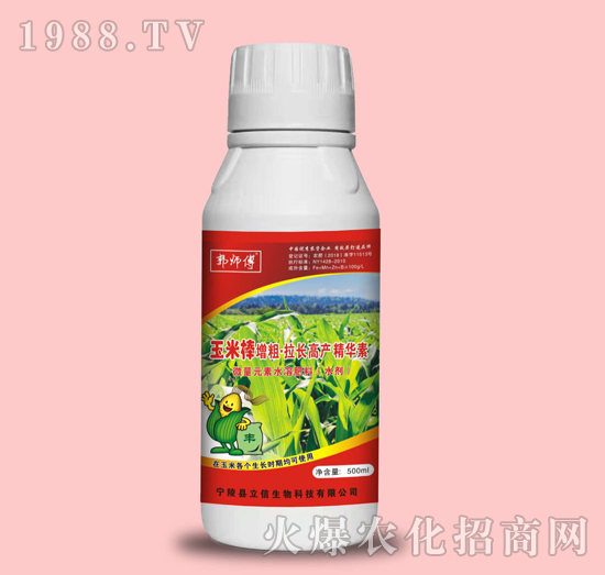 玉米棒增粗·拉長高產(chǎn)精華素-郭師傅-立信生物