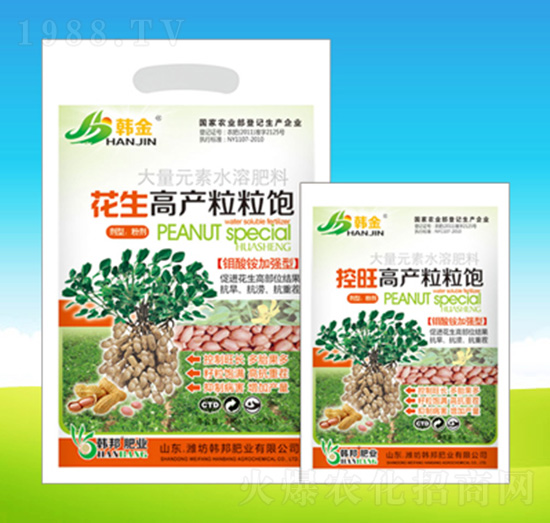 花生高產(chǎn)粒粒飽-韓邦肥業(yè)
