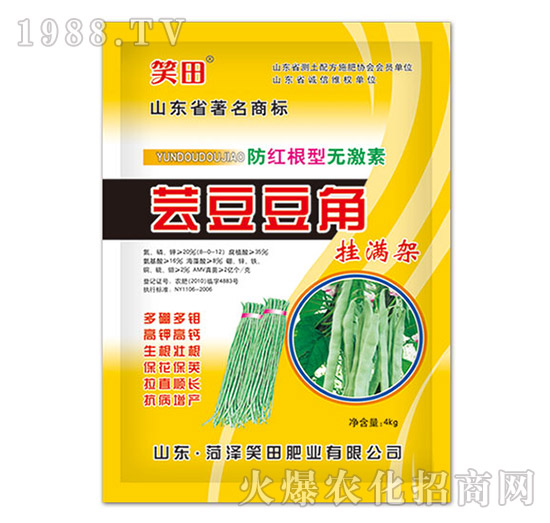 蕓豆豆角掛滿架-笑田