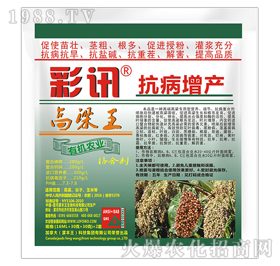 高粱王抗病增產(chǎn)絡(luò)合劑-彩訊-漯豐王