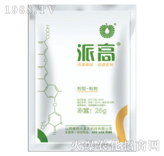 派高-美邦科技