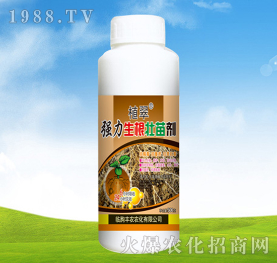 強力生根壯苗劑-植翠-豐農(nóng)農(nóng)化