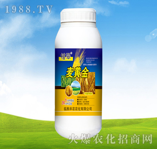 麥黃金-植翠-豐農農化