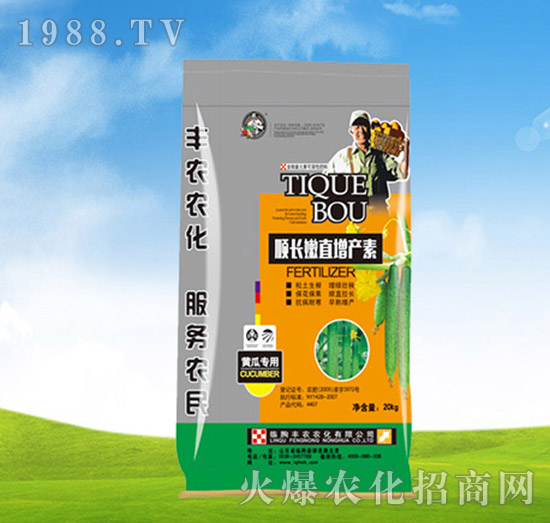 黃瓜專用肥-順長嫩直增產(chǎn)素-豐農(nóng)農(nóng)化