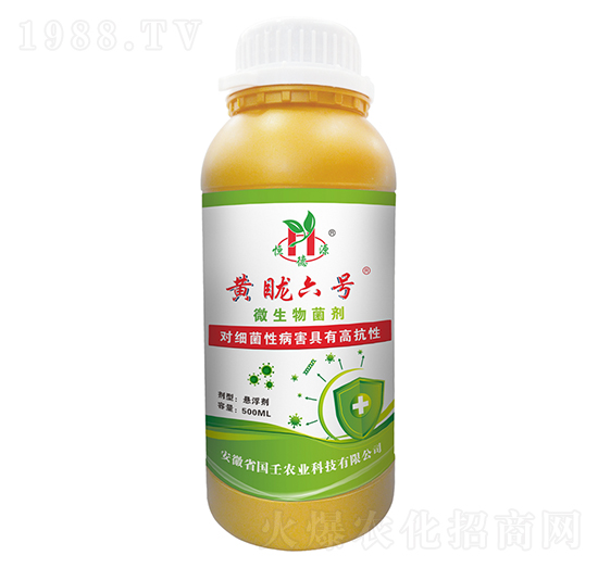 微生物菌劑-黃眬六號(hào)-國壬生物
