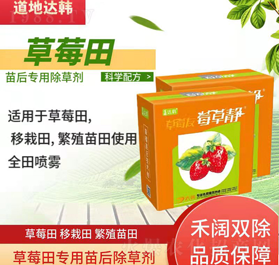草莓除草劑-草莓苗后-草莓專(zhuān)用-大韓