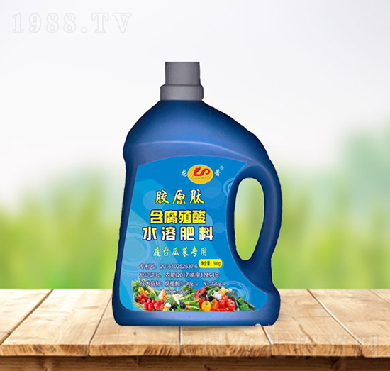 含腐殖酸水溶肥料（庭臺(tái)瓜菜專用）-龍普生物