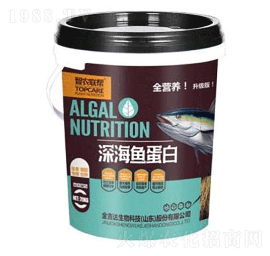 深海魚蛋白-金吉達