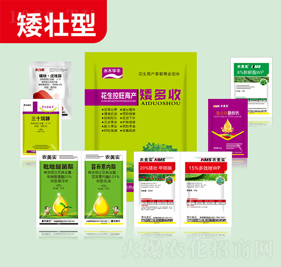 矮壯型花生控旺高產(chǎn)-矮多收-萱化威遠(yuǎn)