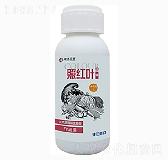 照紅葉（鉀）-中禾天呈
