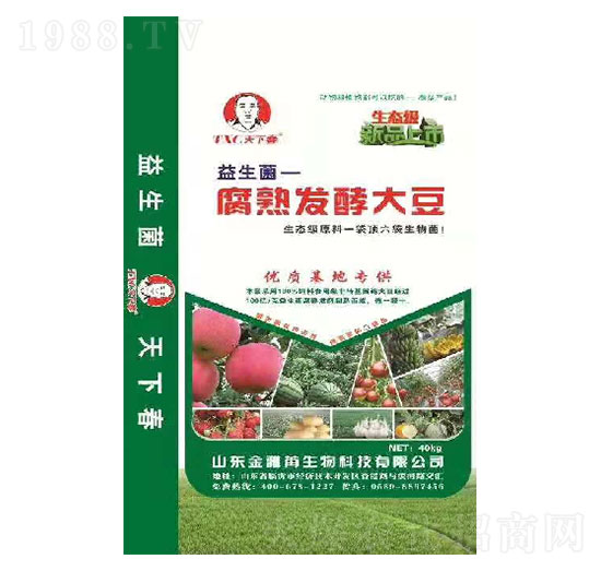 腐熟發(fā)酵大豆-天下春